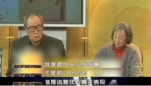 葛优老师爆料视频大全,揭秘娱乐圈幕后故事  第2张